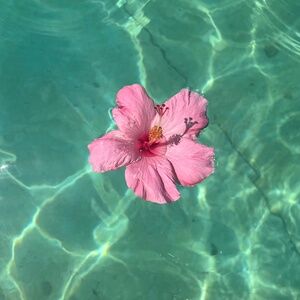 Meet your Posher, Nana